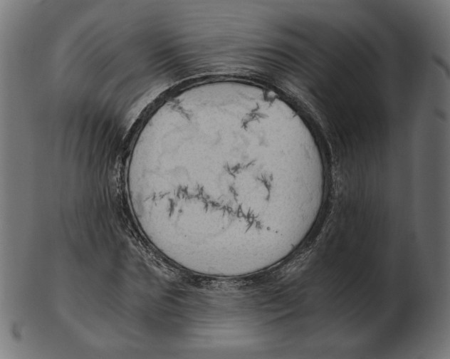 X0000103130875200809121729