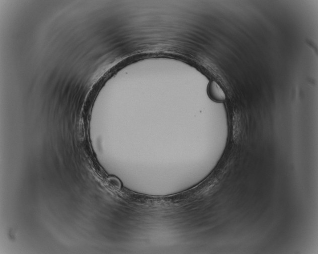 X0000103130876200809121729