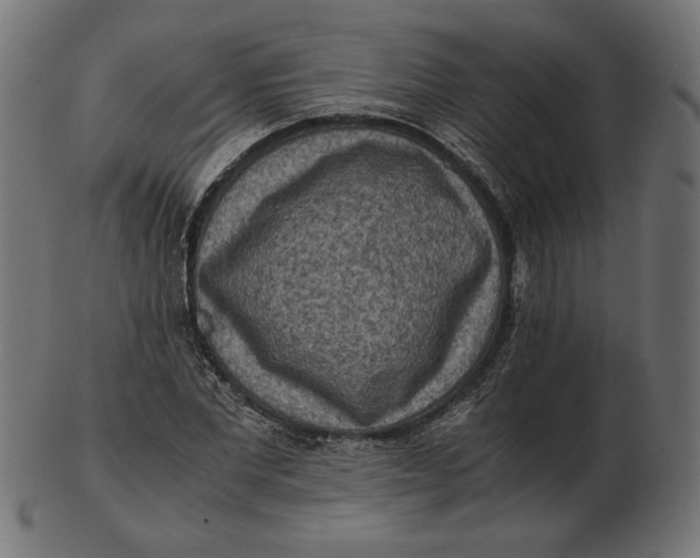 X0000103130877200809121729