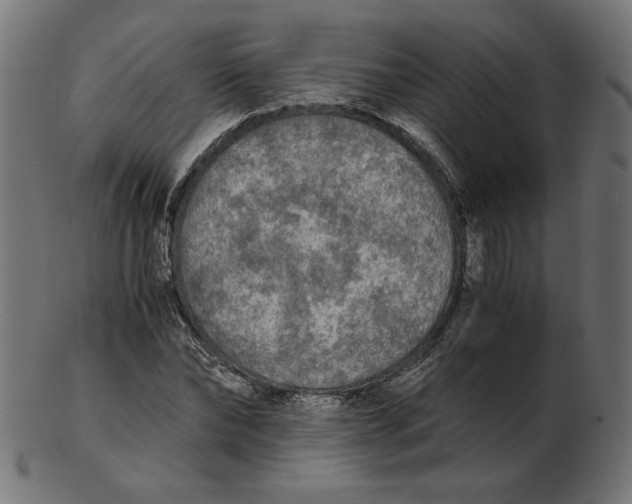 X0000103130878200809121729