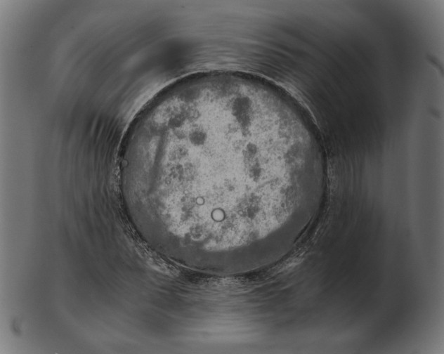 X0000103130879200809121729