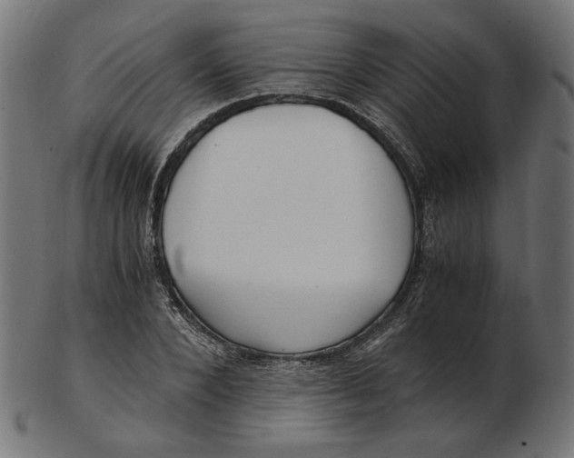 X0000103130880200809121729