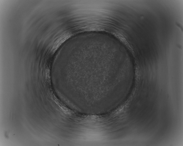 X0000103130881200809121729