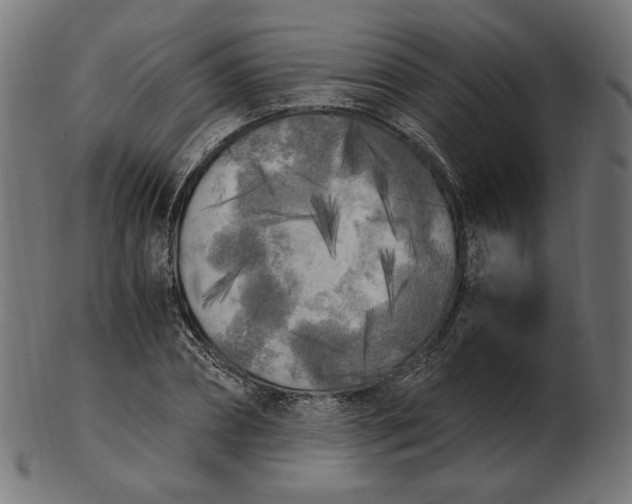 X0000103130882200809121729