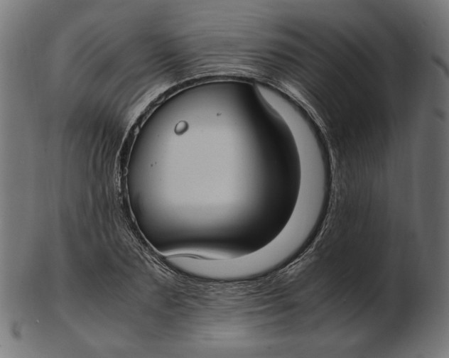 X0000103130883200809121729