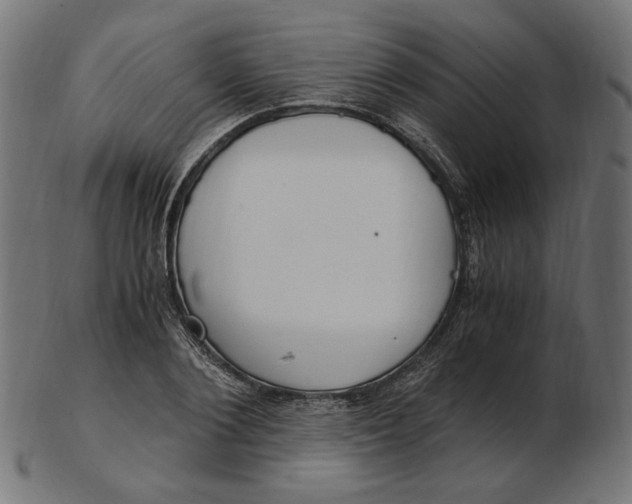 X0000103130884200809121729