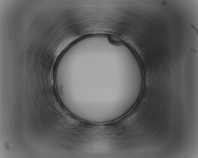 X0000103130885200809121729