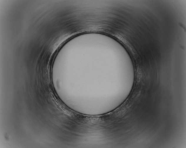 X0000103130886200809121729