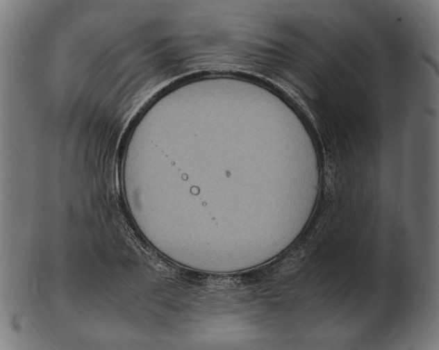 X0000103130887200809121729