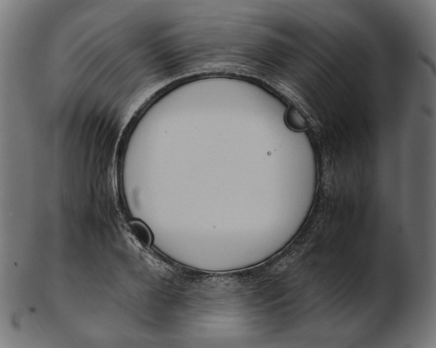 X0000103130888200809121729