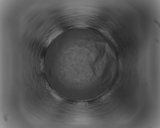X0000103130889200809121729