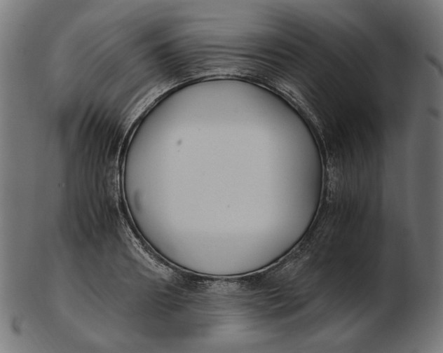 X0000103130890200809121729