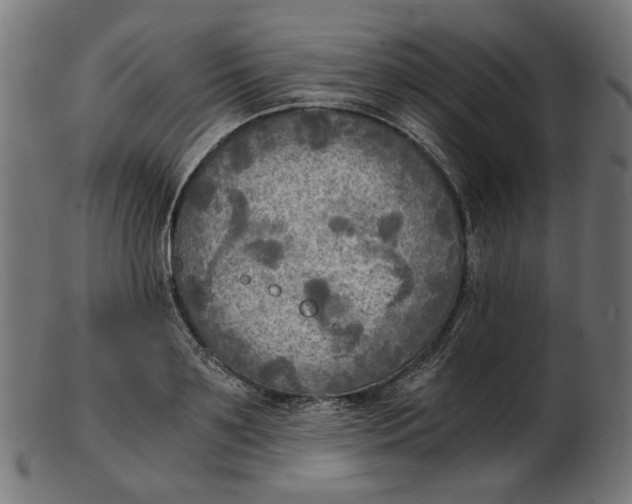 X0000103130891200809121729