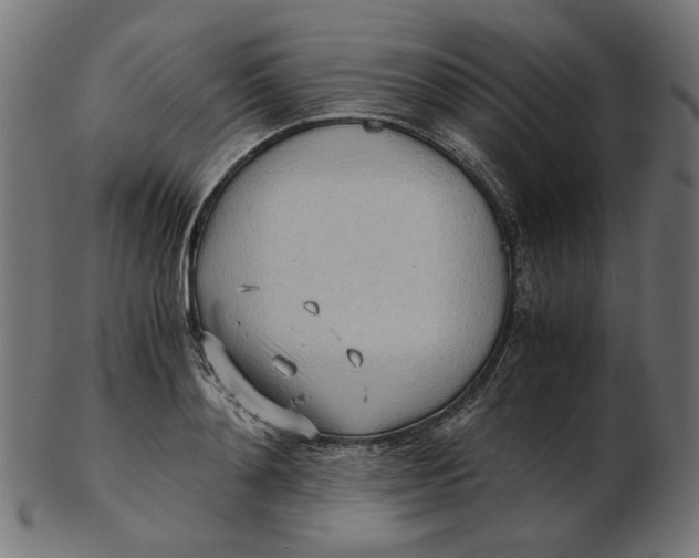 X0000103130892200809121729