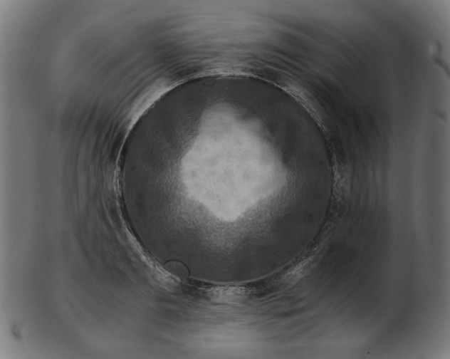 X0000103130893200809121729