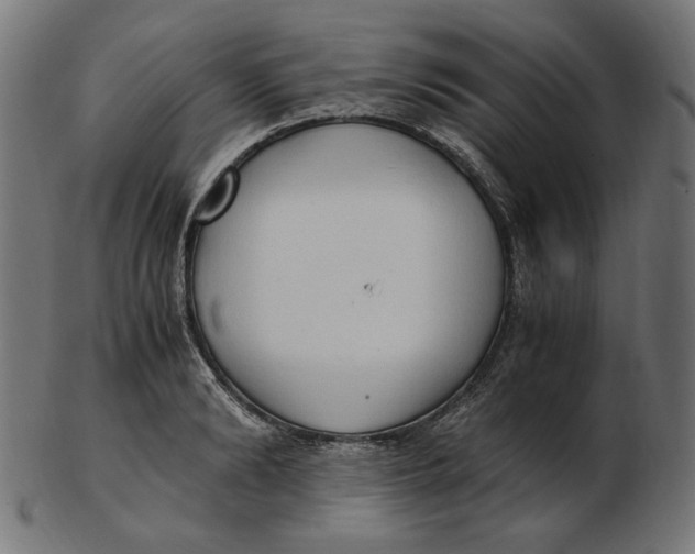 X0000103130894200809121729