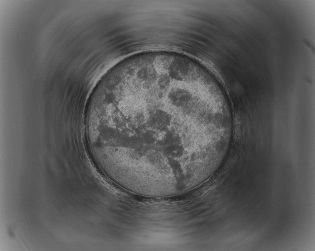 X0000103130895200809121729