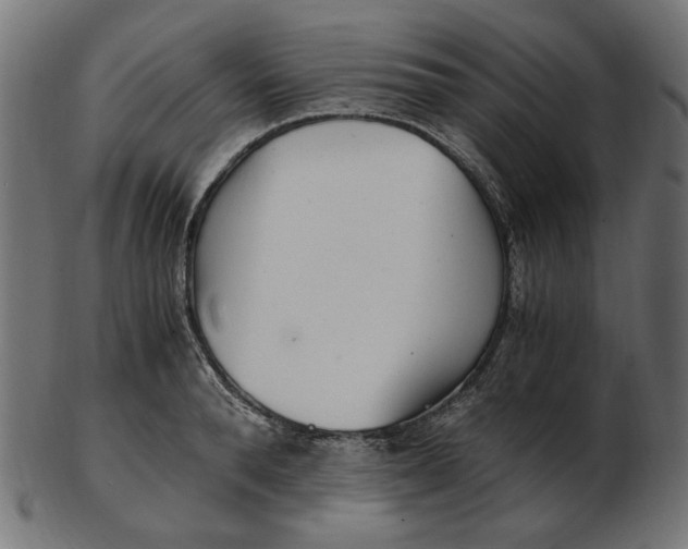 X0000103130896200809121729