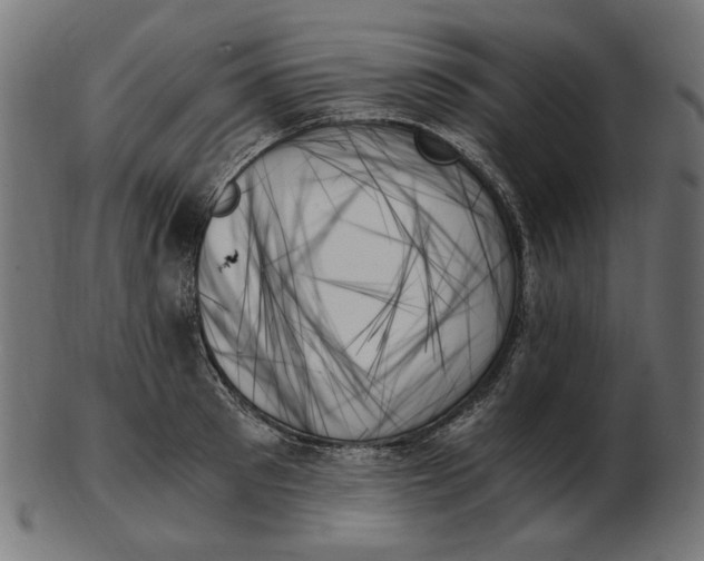 X0000103130897200809121729