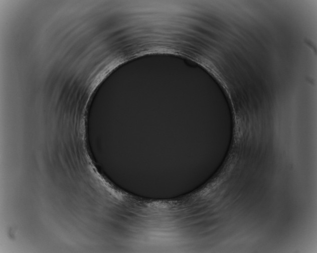 X0000103130898200809121729