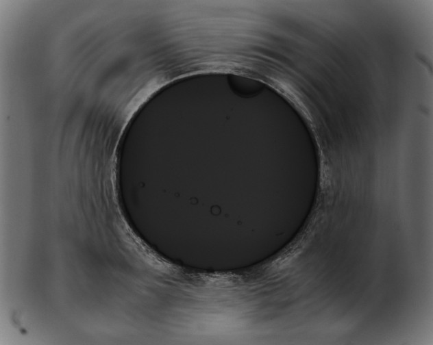 X0000103130899200809121729