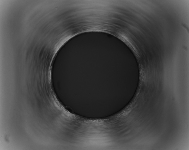 X0000103130900200809121729