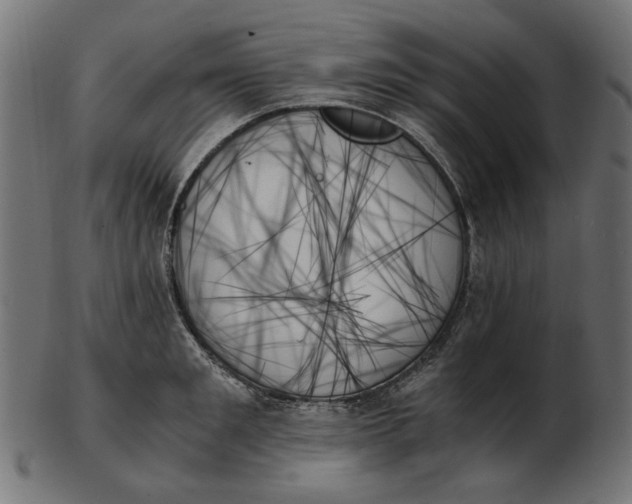 X0000103130901200809121729