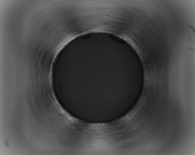 X0000103130902200809121729