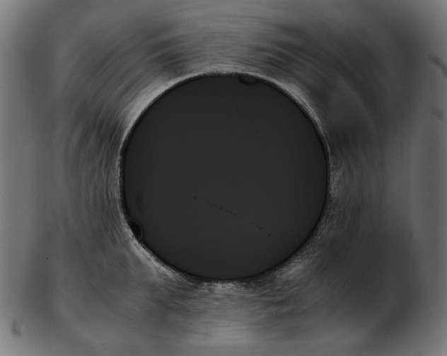 X0000103130903200809121729