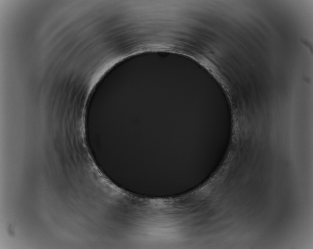 X0000103130904200809121729