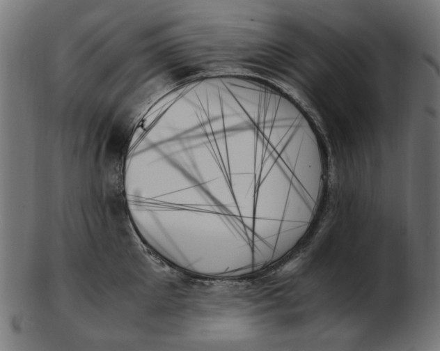 X0000103130905200809121729