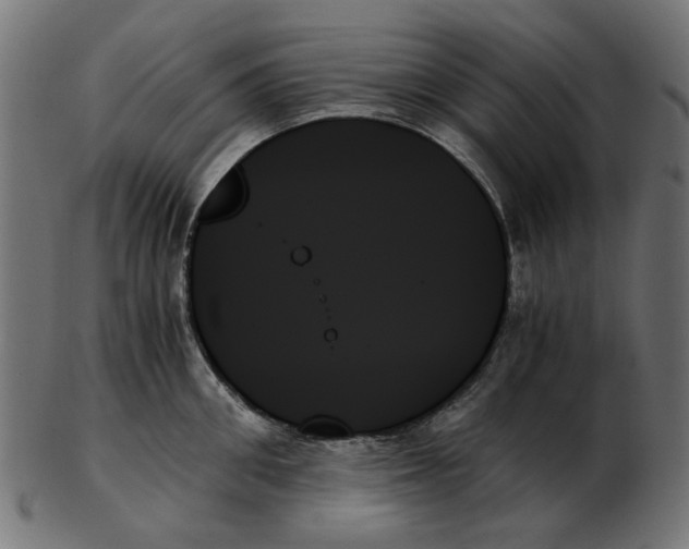 X0000103130906200809121729
