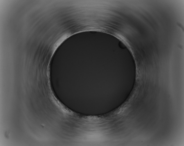 X0000103130907200809121729