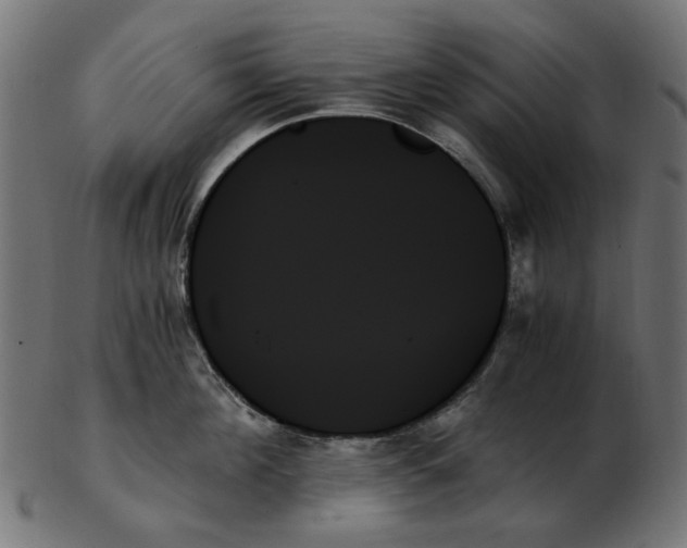 X0000103130908200809121729
