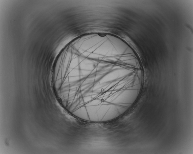 X0000103130909200809121729