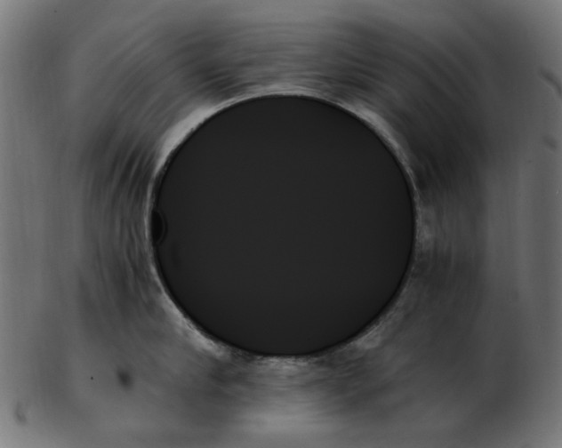 X0000103130910200809121729