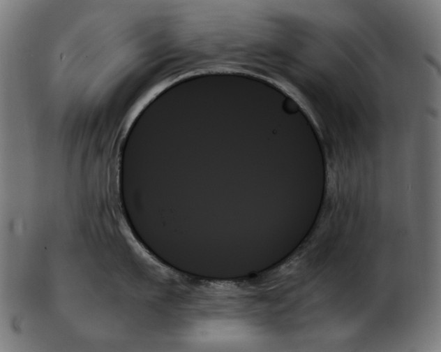 X0000103130911200809121729