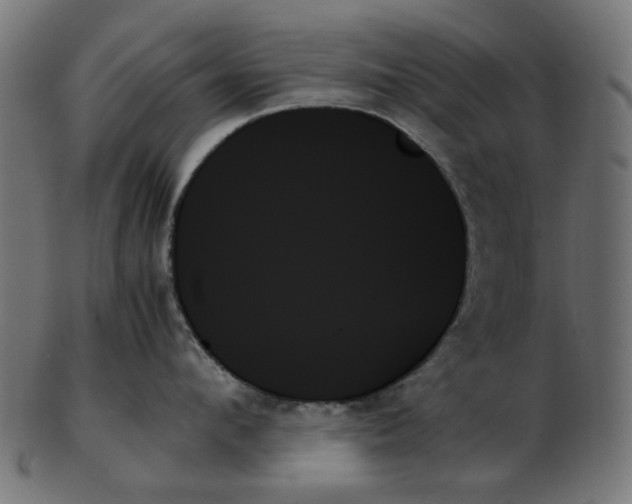 X0000103130912200809121729