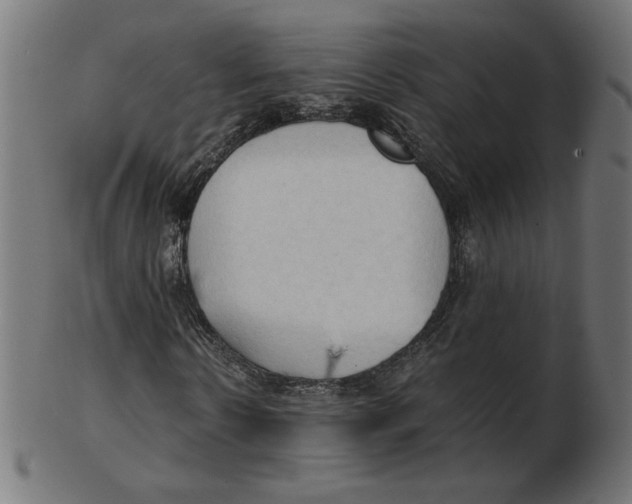 X0000103130914200809121728