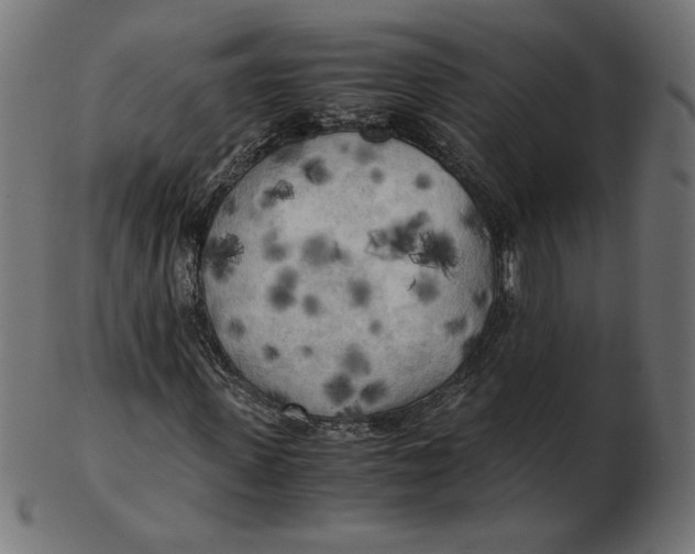X0000103130915200809121728