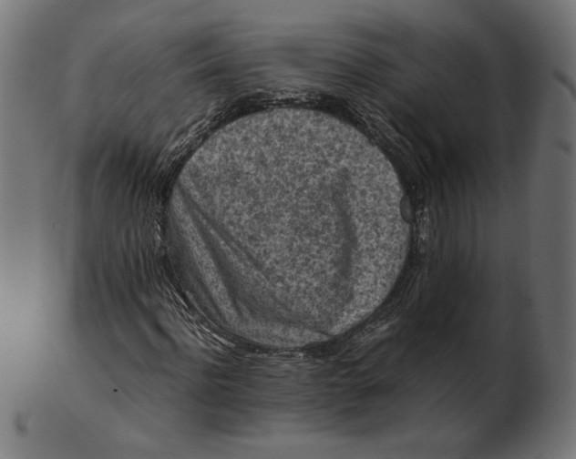 X0000103130916200809121728