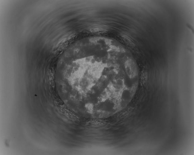 X0000103130917200809121728