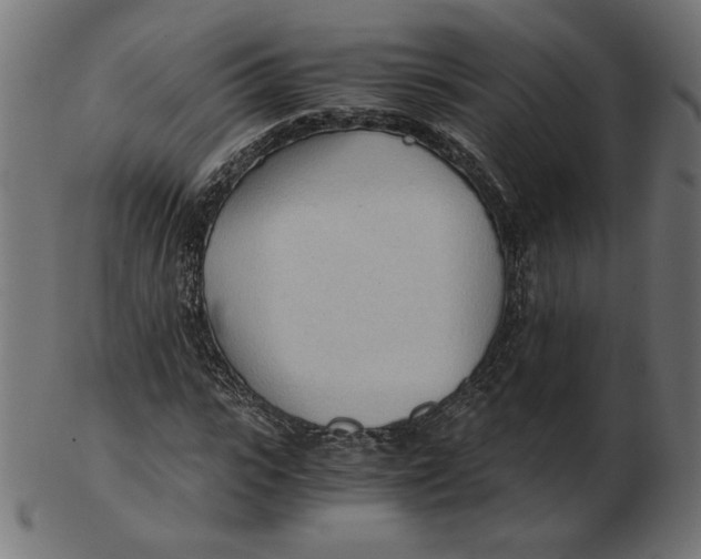 X0000103130919200809121728