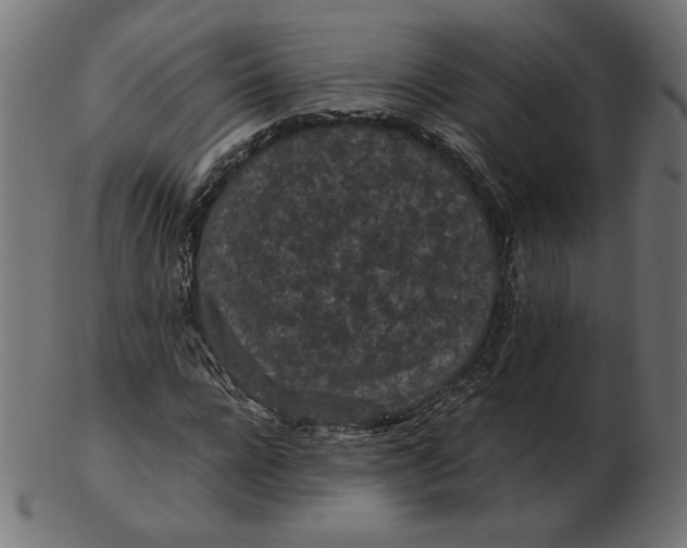 X0000103130920200809121728