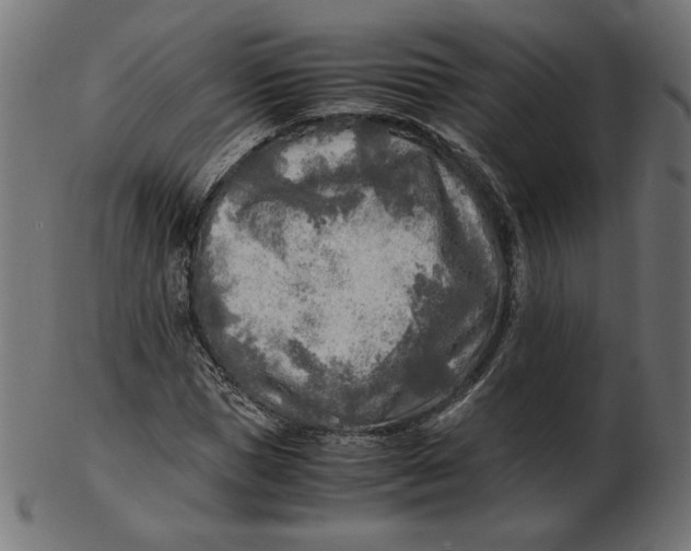 X0000103130921200809121728