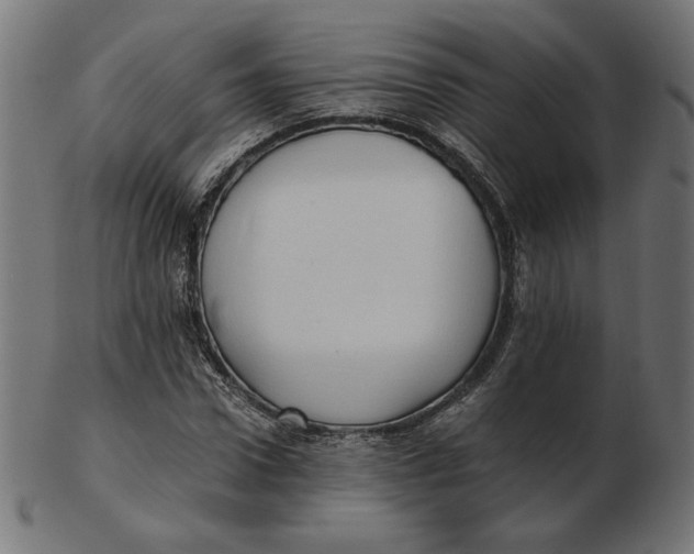 X0000103130922200809121728