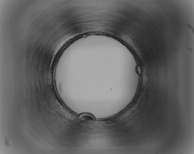 X0000103130924200809121728