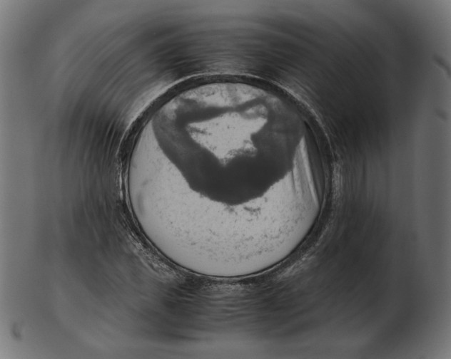 X0000103130925200809121728