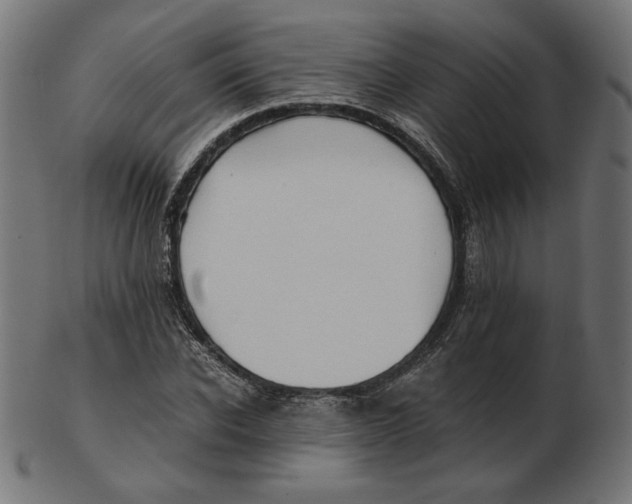 X0000103130926200809121728