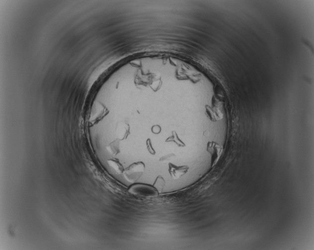 X0000103130928200809121728